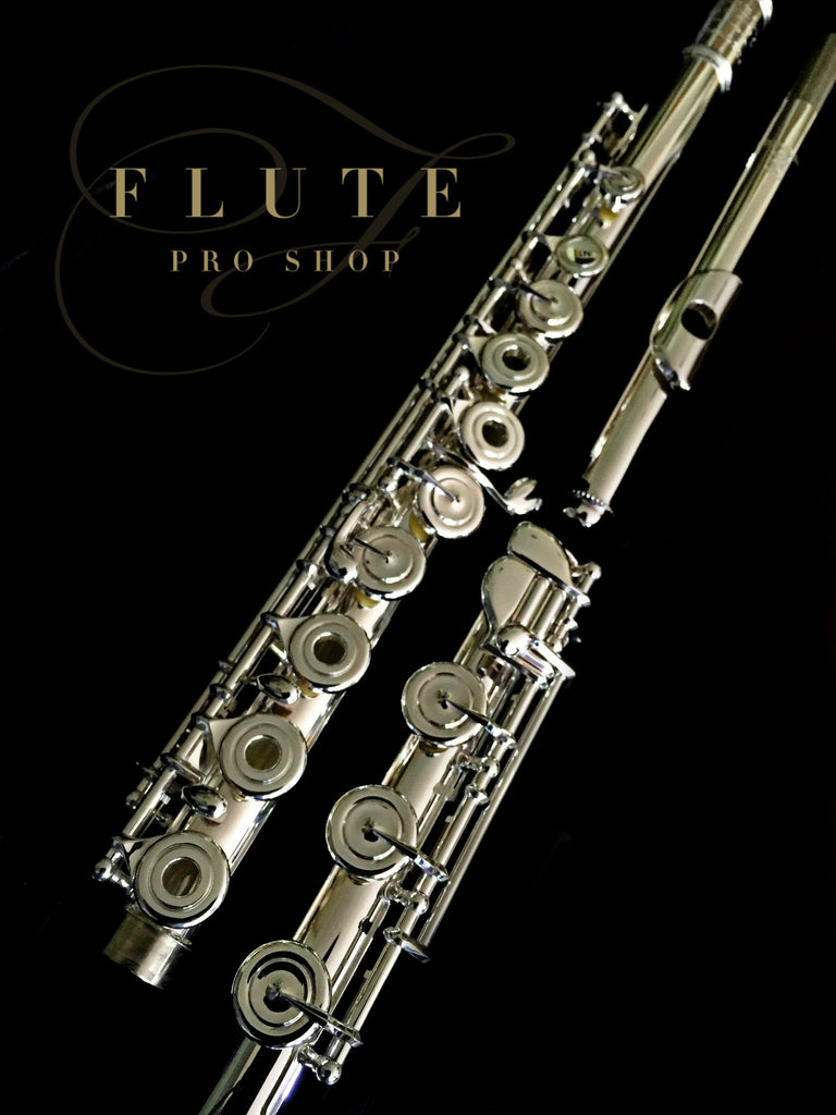 Wm. S. Haynes Amadeus  AF580 No. 16590008