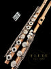 14K Gold William S. Haynes Flute No. 39150