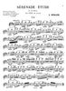 The Modern Flutist by Albert Andraud