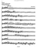 Mozart, Wolfgang Amadeus : Concerto in G Major KV 313