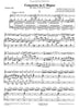 Vivaldi, Antonio: Three Concertos for Piccolo