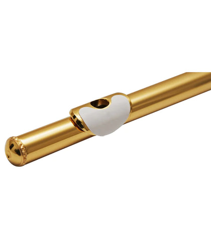BG Lip Plate Protector - A18  (Use code to get 50% off)