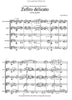 Schocker, Gary :  Zefiro Delicatto
